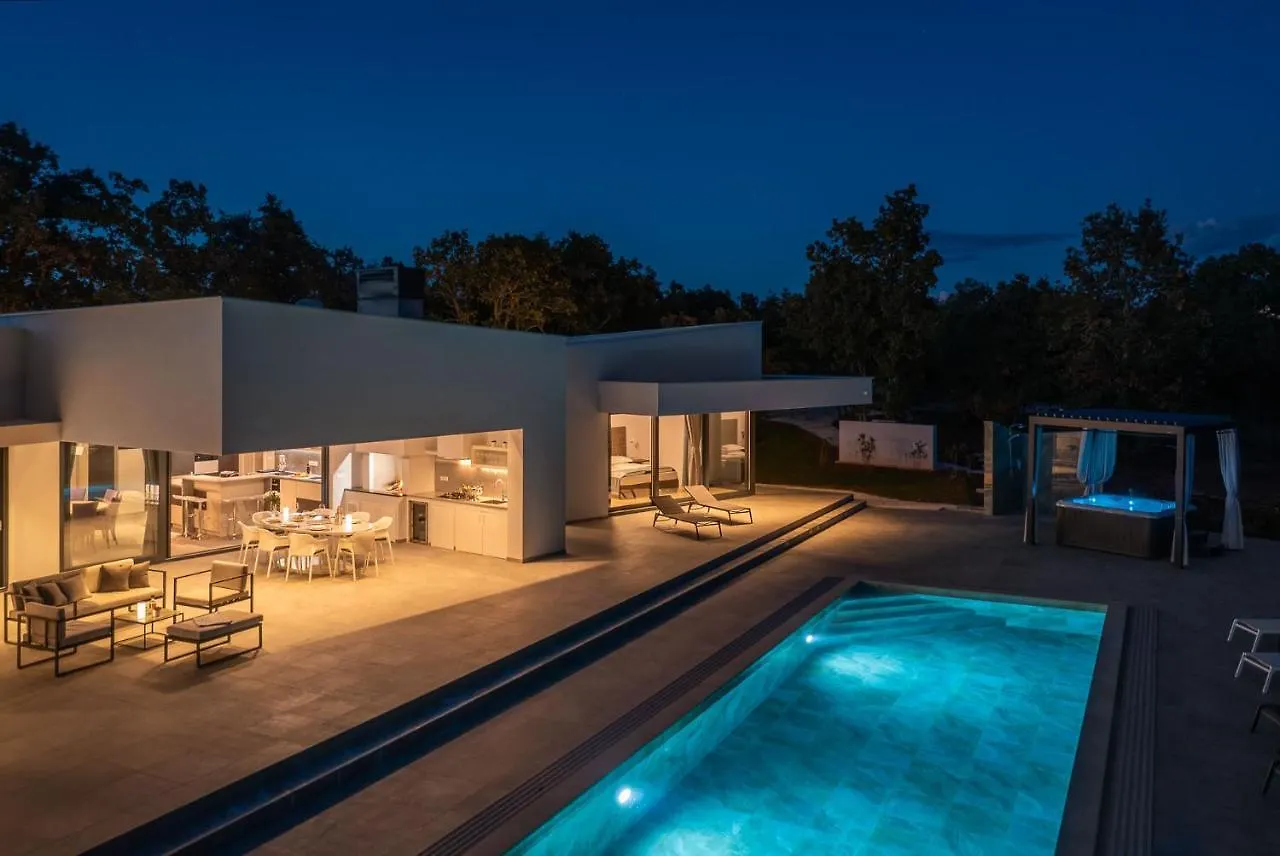 Villa Vines, Modern Luxury In Serene Seclusion  Svetvincenat
