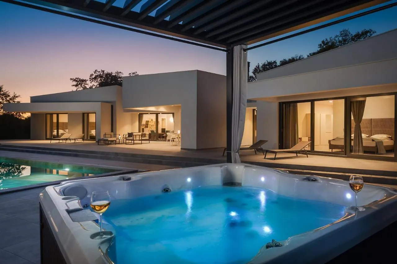 Villa Vines, Modern Luxury In Serene Seclusion  Svetvincenat