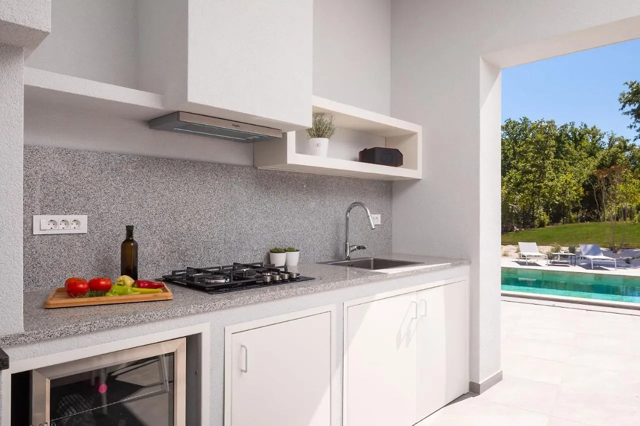 Villa Vines, Modern Luxury In Serene Seclusion Svetvincenat