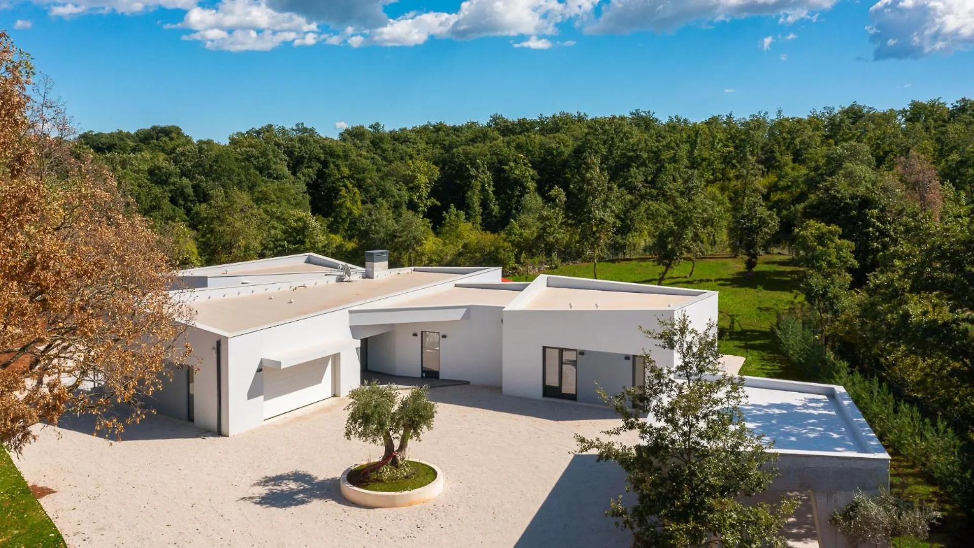 Villa Vines, Modern Luxury In Serene Seclusion